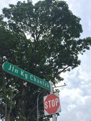 Jalan Kampong Chantek (D21), Detached #131568872